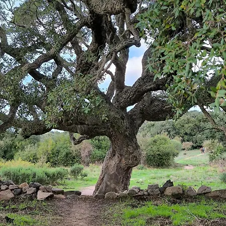 Port De Appartement *