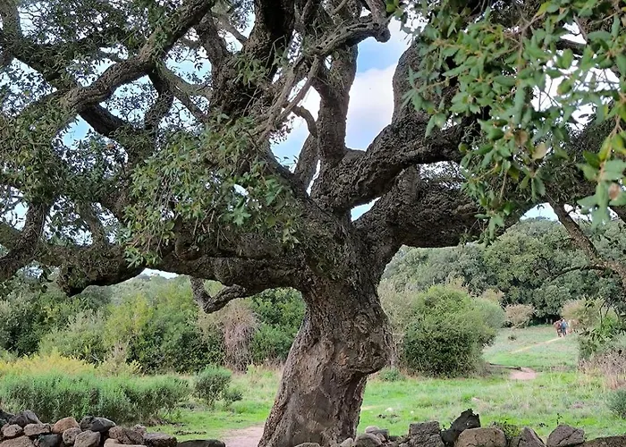 Port De アパート *